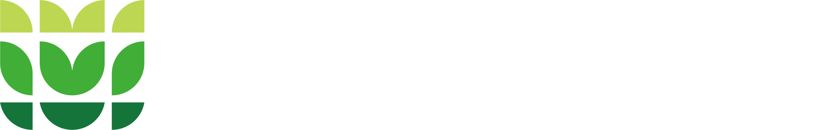 美彩国际(中国)有限公司