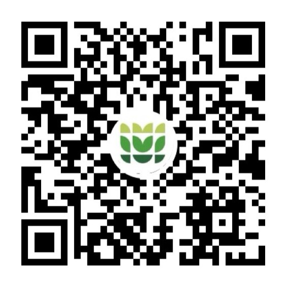 美彩国际(中国)有限公司