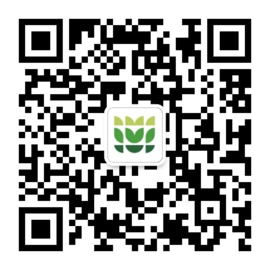 美彩国际(中国)有限公司