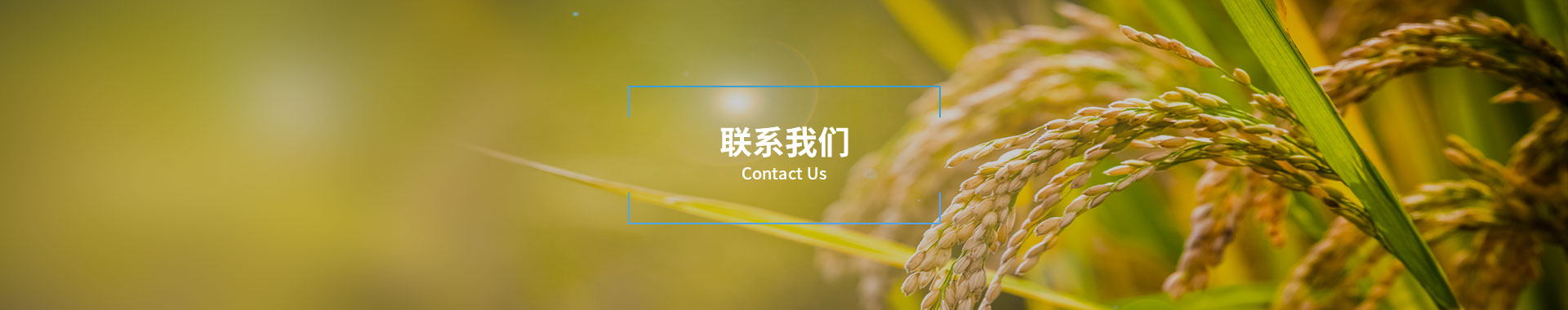 联系美彩国际 官网