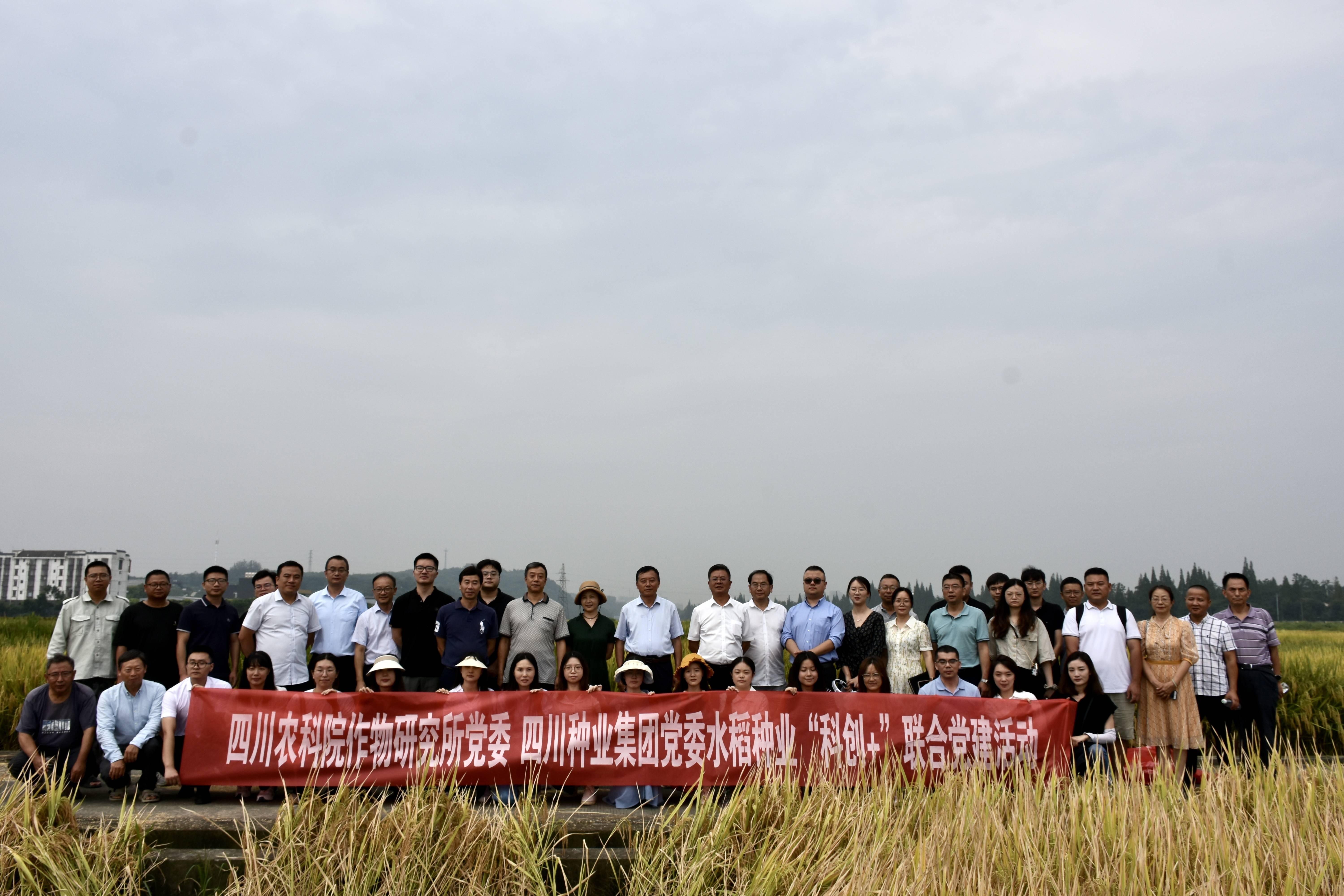 2023年9月6日美彩国际 官网 省农科院作物钻研所结合发展水稻种业“科创+”党建活动2（邓皓然拍摄）(1).jpg