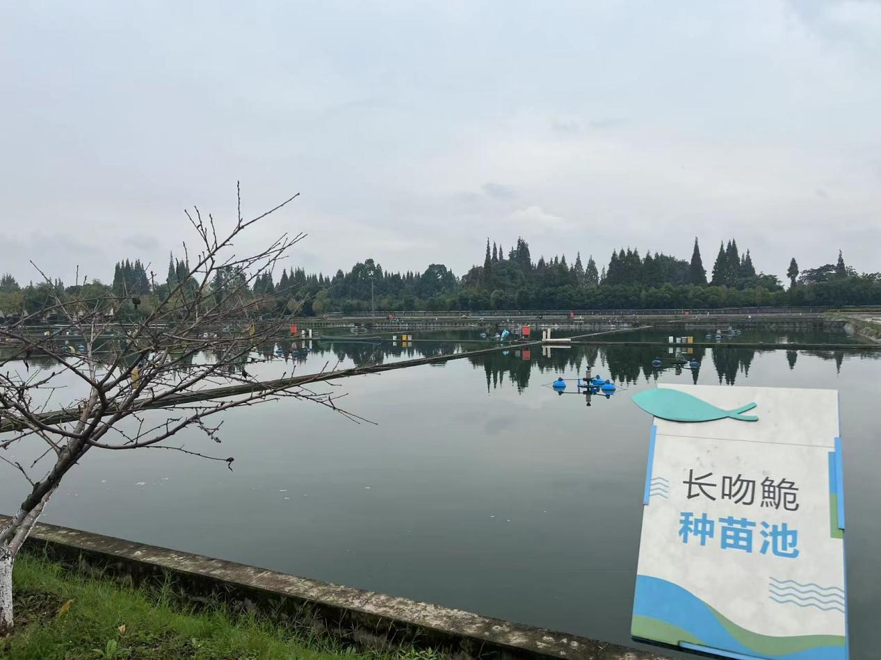 美彩国际 官网加快推动水产种业公司组建2.png