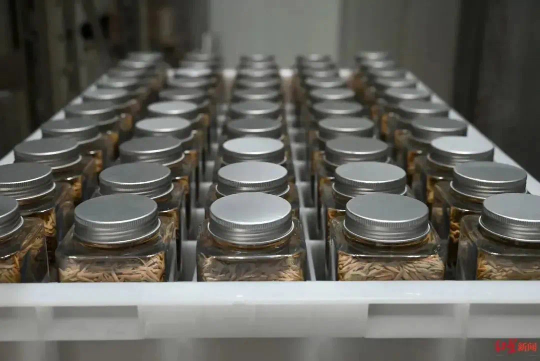 农作物种质资源治理法子