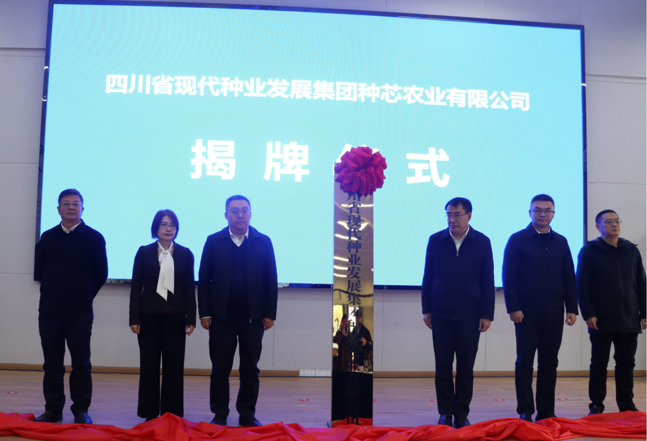 政企联手 美彩国际 官网与自贡沿滩区携手打造南方大豆育繁推中心