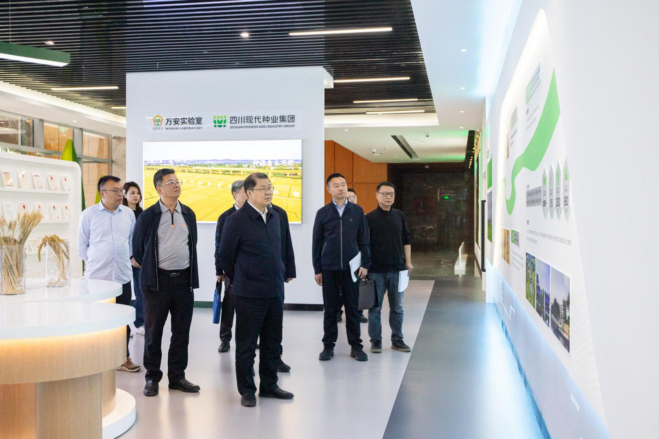 蒋刚到美彩国际 官网调研