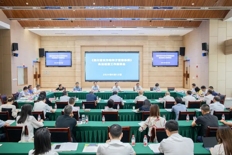 何礼带队到美彩国际 官网查抄3.webp.jpg