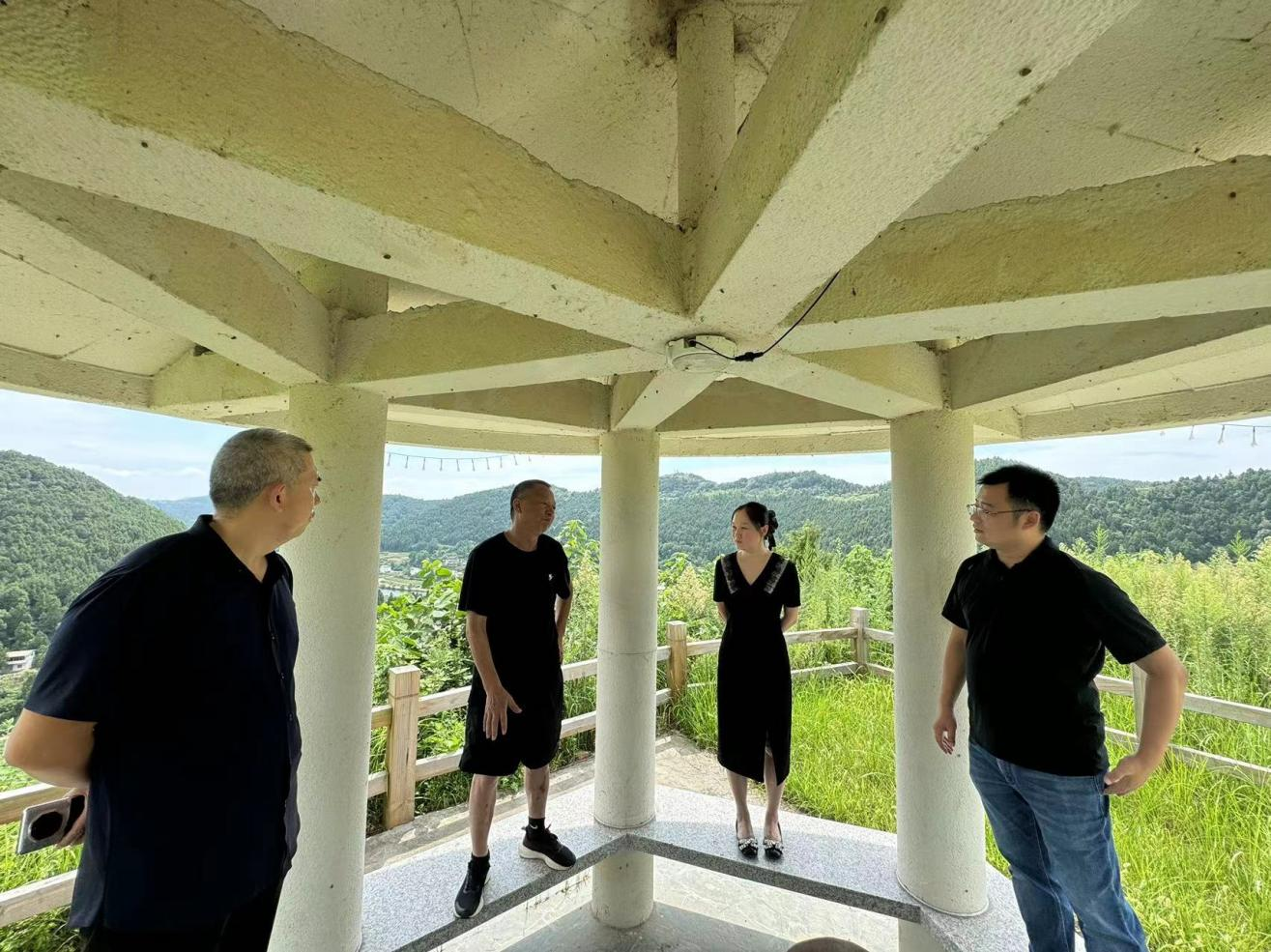 集润公司全面推动三台县三元镇彩花油菜项目