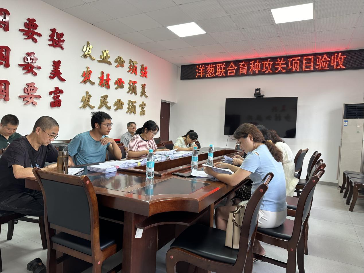 科威洋葱公司洋葱结合育种攻关项目通过验收