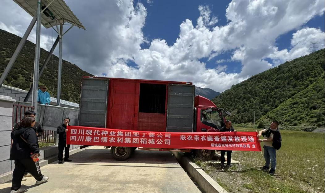 整合伙源联农带农 助扶产业高效发展