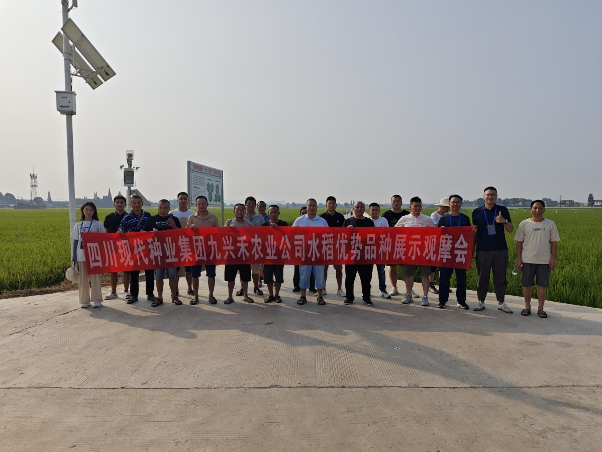 九兴禾农业公司进杏装天府粮仓优势水稻种类”现场观摩会