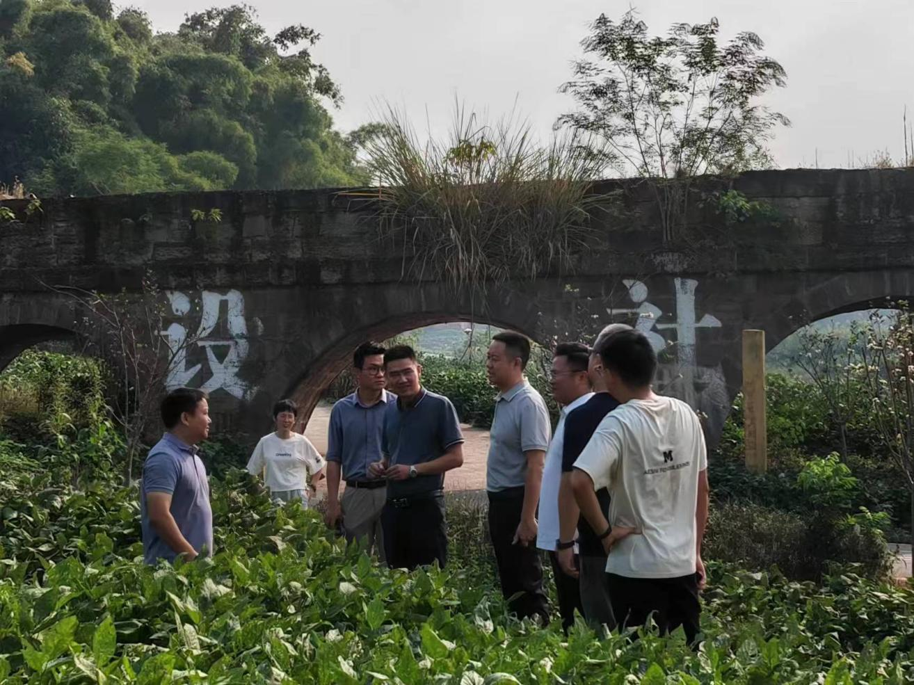 孙吓茁一行到种芯农业公司调研领导