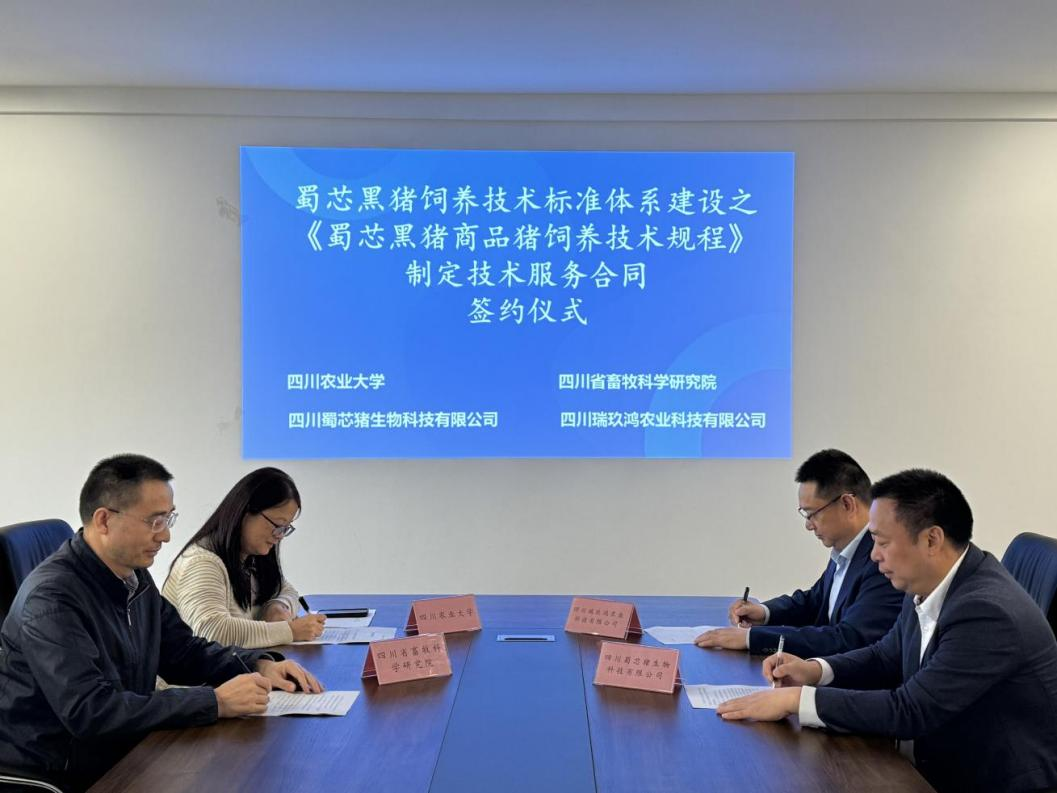 蜀芯猪公司与川农大、省畜科院、瑞玖鸿公司进行签约典礼  共同推动蜀芯黑猪豢养技术尺度系统建设.png