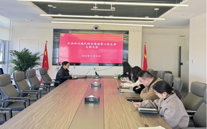 2024年12月31日美彩国际 官网第六党支部召开支部大会.png