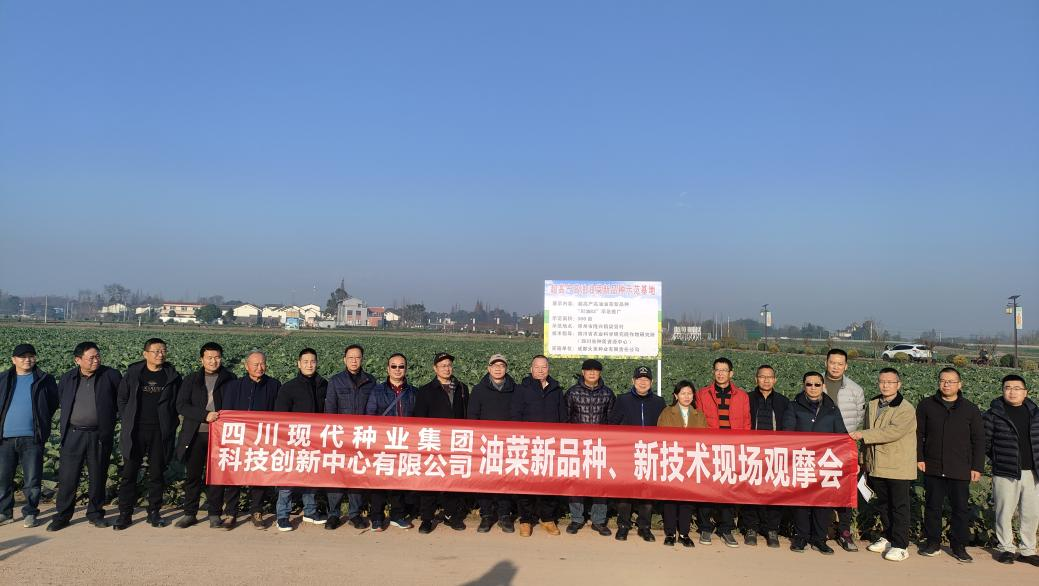 科创中心结合多家单元进行油菜新种类、新技术观摩会2.png