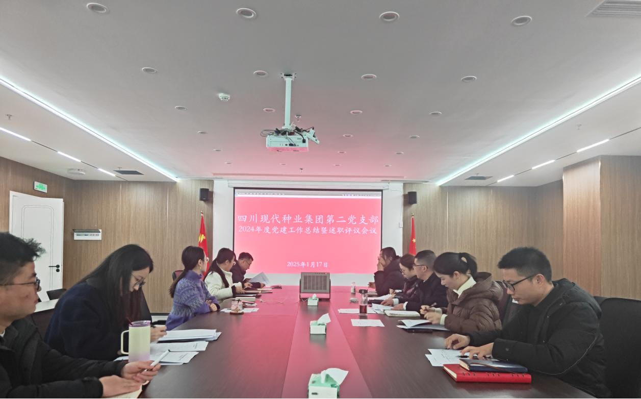 美彩国际 官网第二党支部召开2024年度党建工作总结会议(1).png