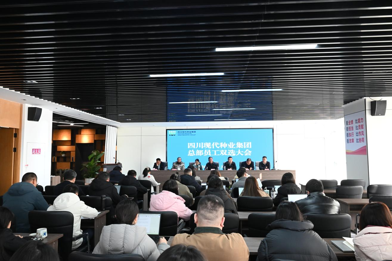 美彩国际 官网召开总部员工工作岗位双选大会.png