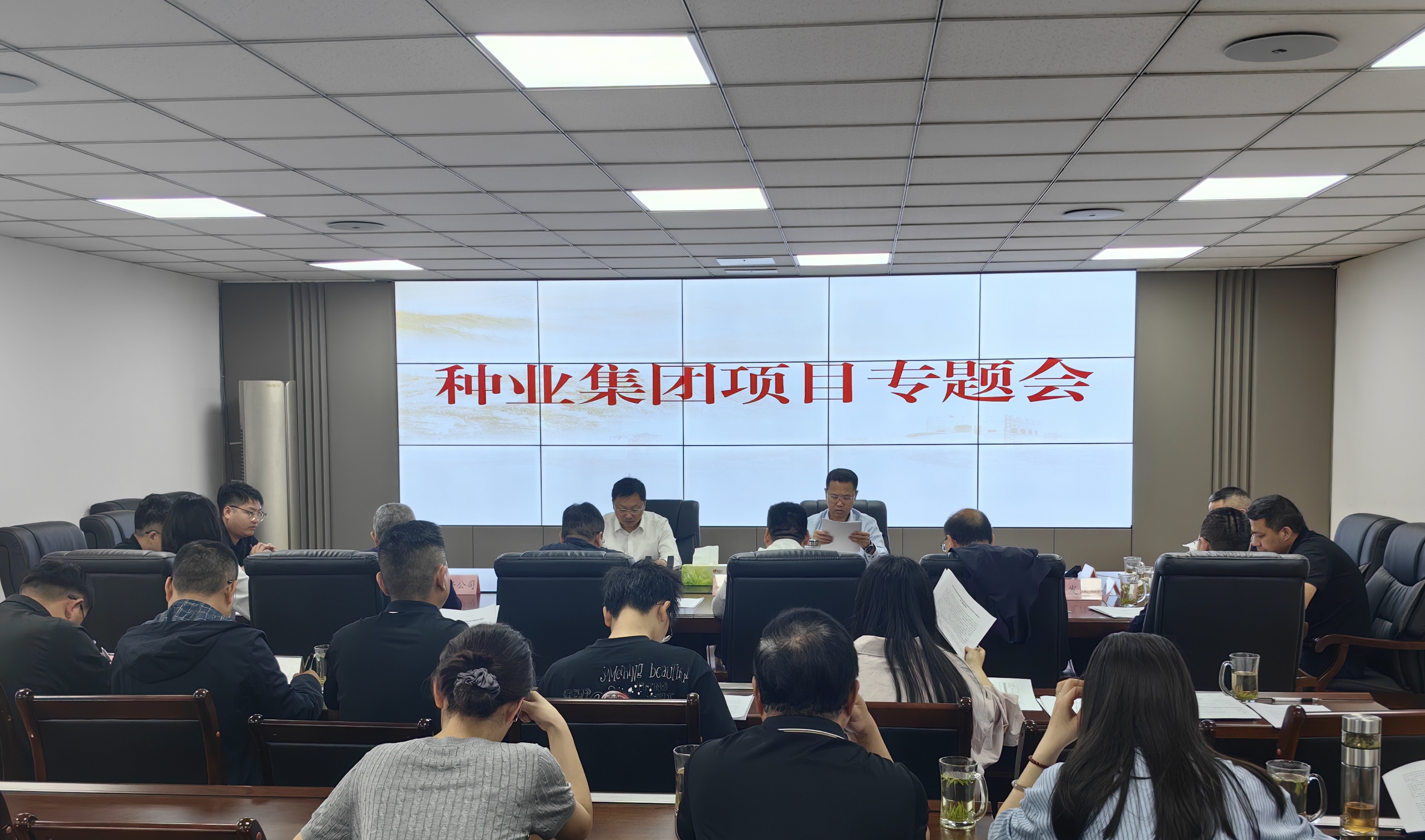 三台县组织召开美彩国际 官网项目专题会