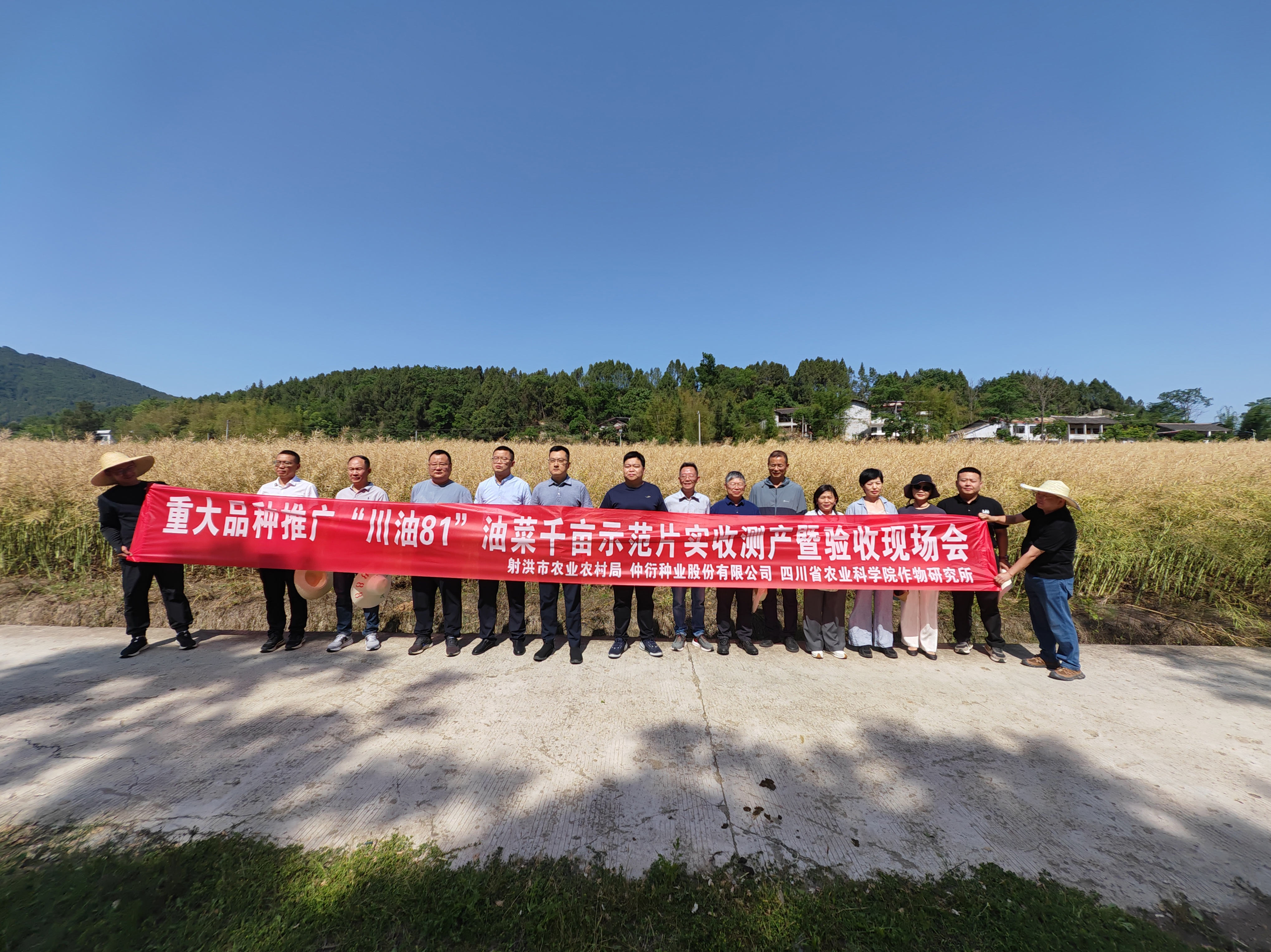 仲衍种业发展项目测产现场会，多个油菜种类测产阐发亮眼