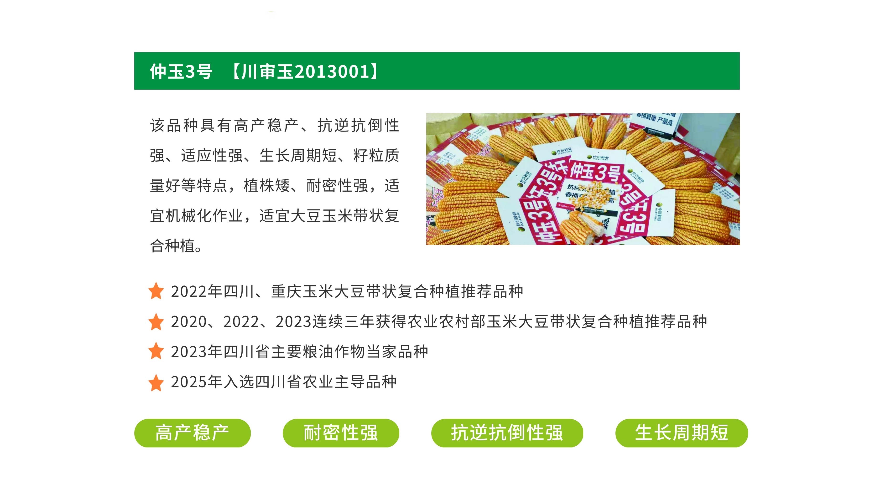 6.4玉米主推长图.jpg