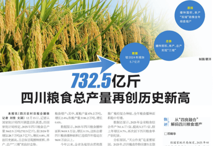 732.5 亿斤！“天府粮仓” 三连跳背后，四川种业筑牢增产主题密码
